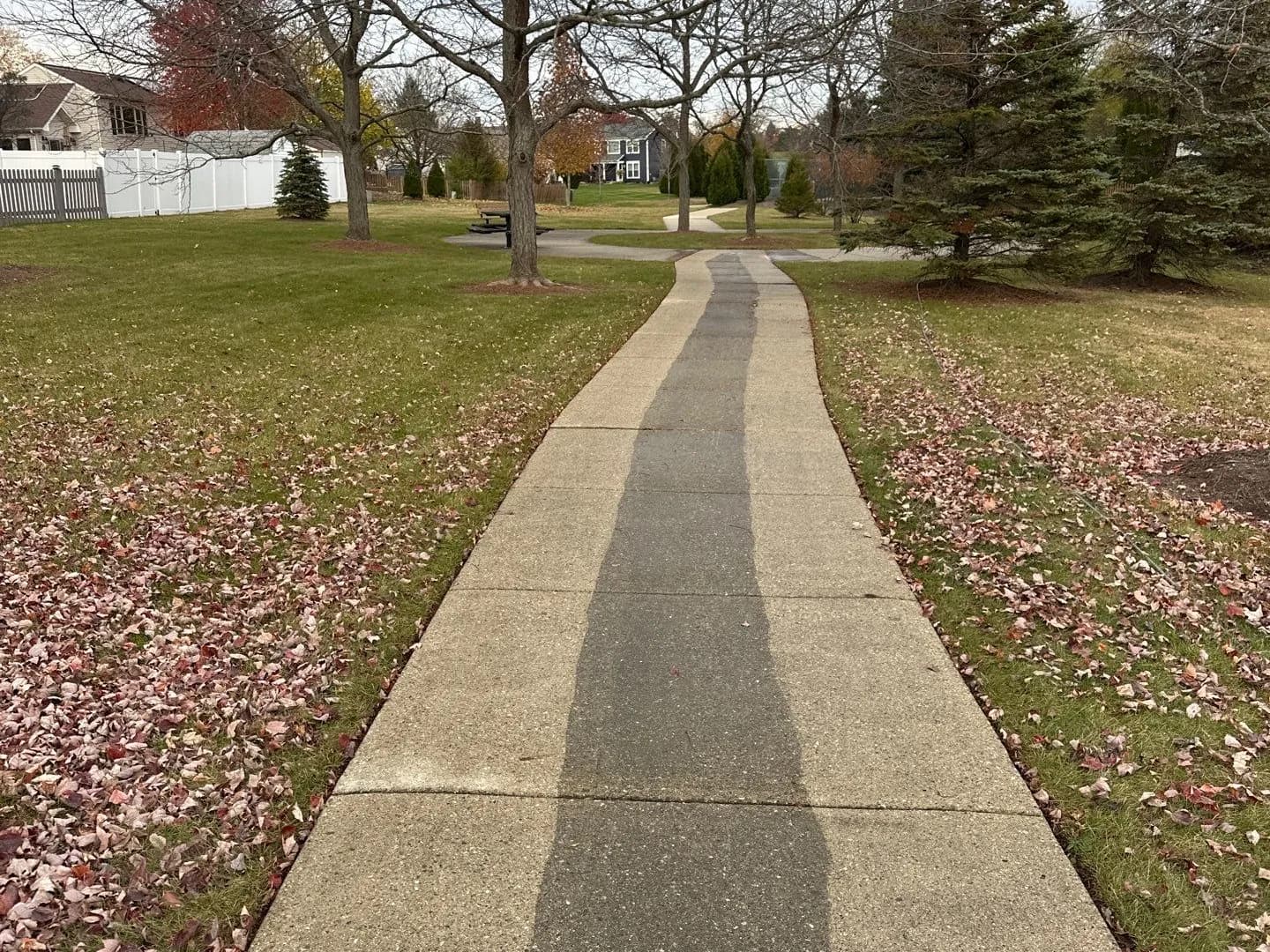 A park path after cleaning