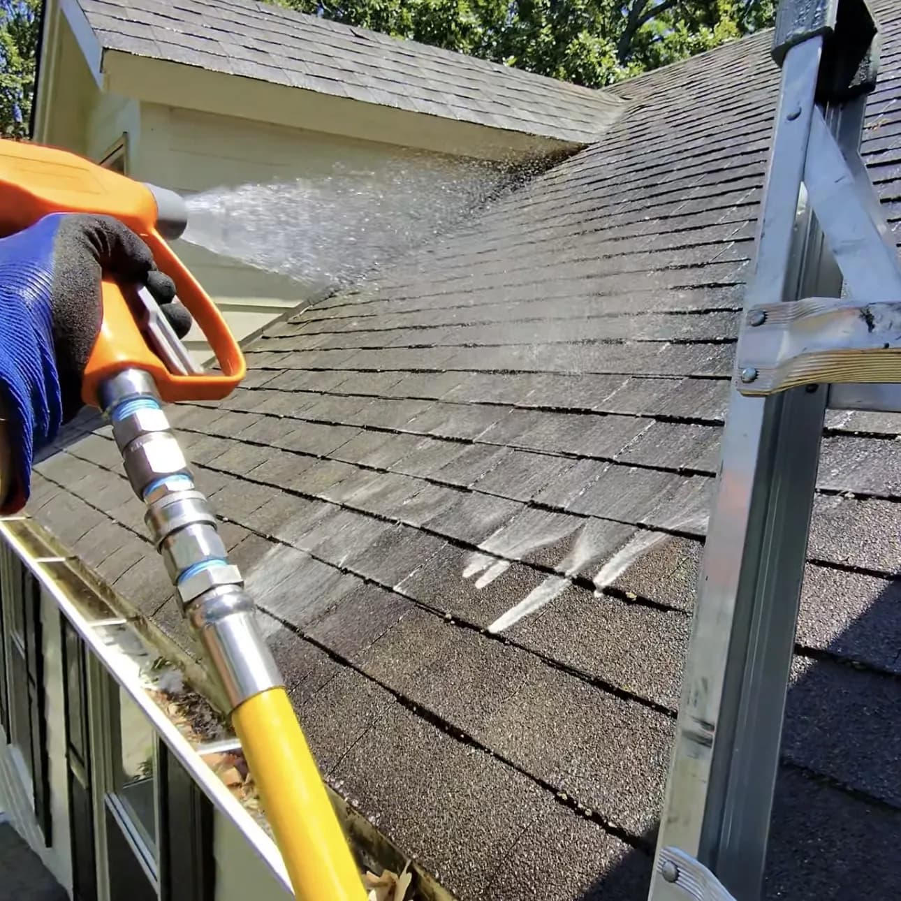 Applying soft wash solution to shingles
